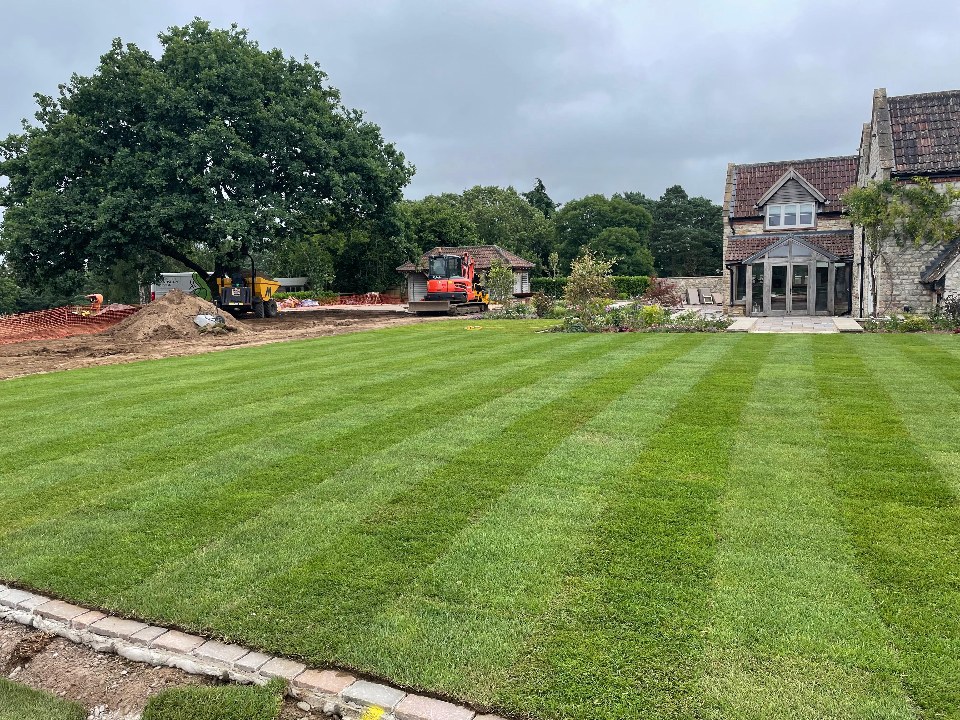 A freshly laid striped lawn beside a country home with a mature oak