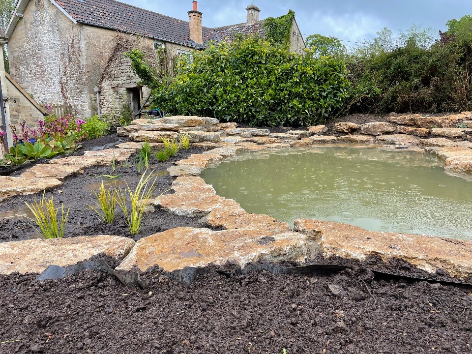 A newly built natural pond edged with local stone and young marginal planting