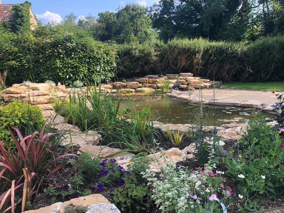 An established natural pond framed by layered, stone-edged planting in full bloom